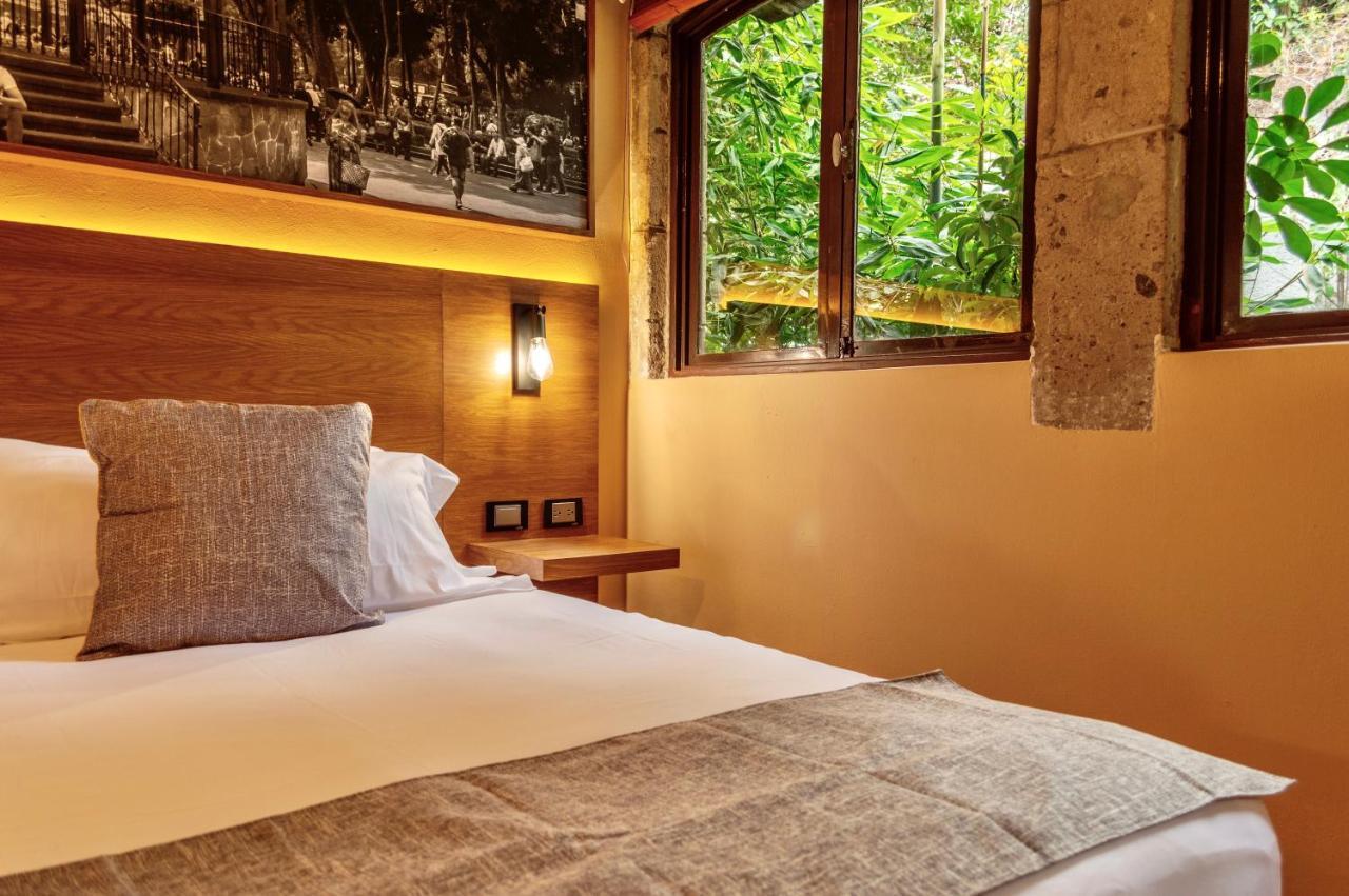 Mi Zona Lodging Coyoacan Мексико Сити Екстериор снимка